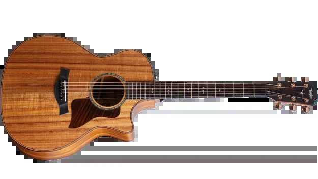 4Sound. TAYLOR 724ce