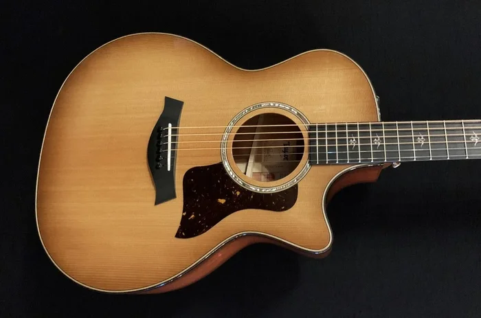 514CE – Urban Ironbark