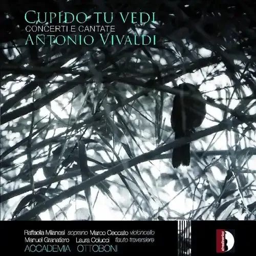 Accademia Ottoboni Cupido Tu Vedi – COMPACT DISCS