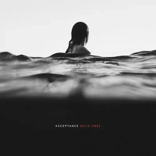 Acceptance Wild Free – COMPACT DISCS