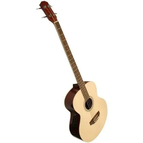 Acoustic Bass Guitar with Electronics