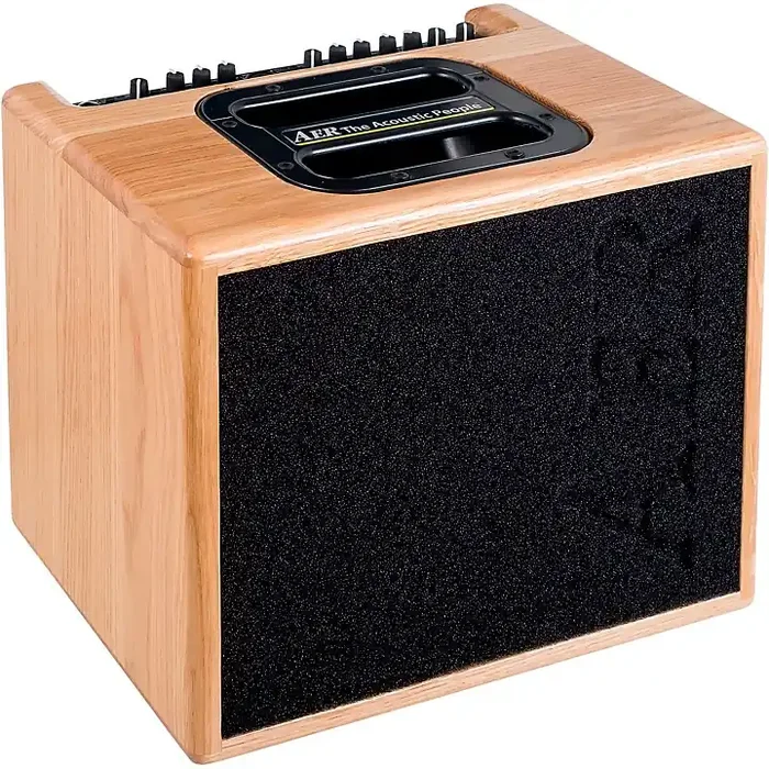 AER Compact 60/4 60W 1×8 Acoustic Guitar Combo Amplifier Natural Oak Guitar Center