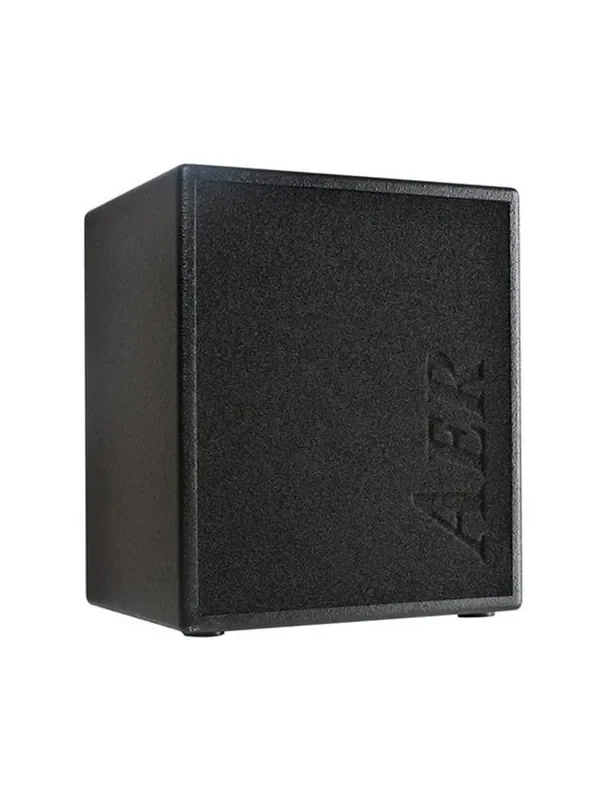 AER MM200 Monte Montgomery Signature 2×8″ Combo Amp