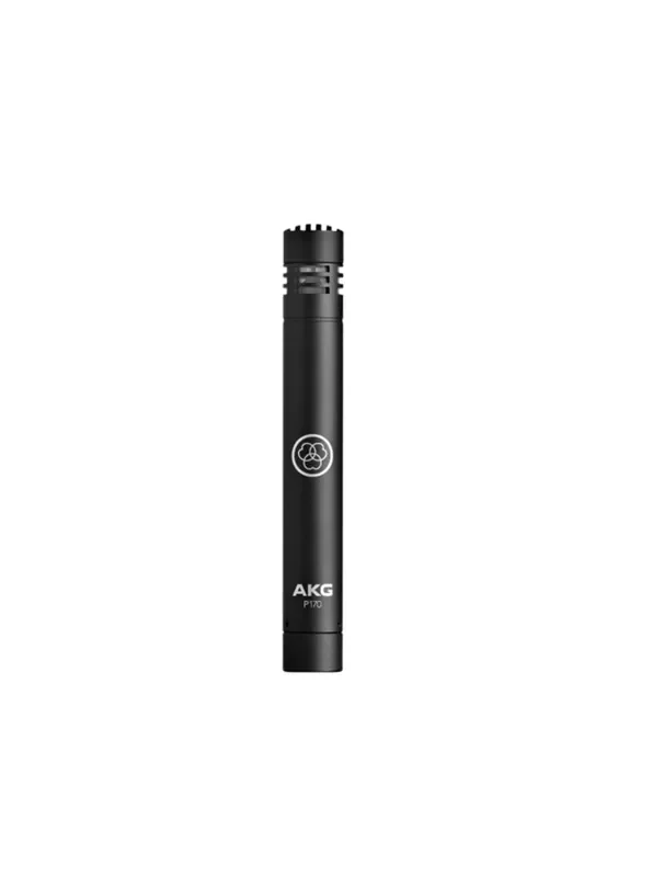 AKG P170 Condenser Microphone