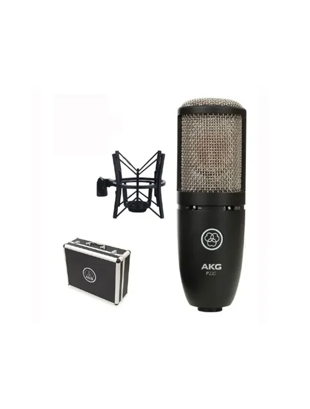 AKG P220 Condenser Microphone