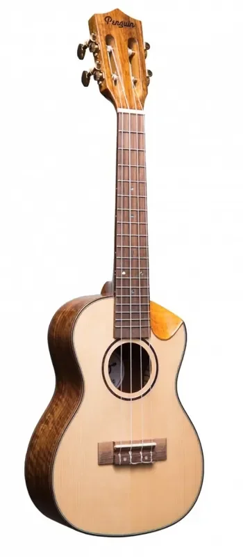 AM800G-CEQ Penguin Solid Spruce Top, Scallop Cutaway, Concert EQ