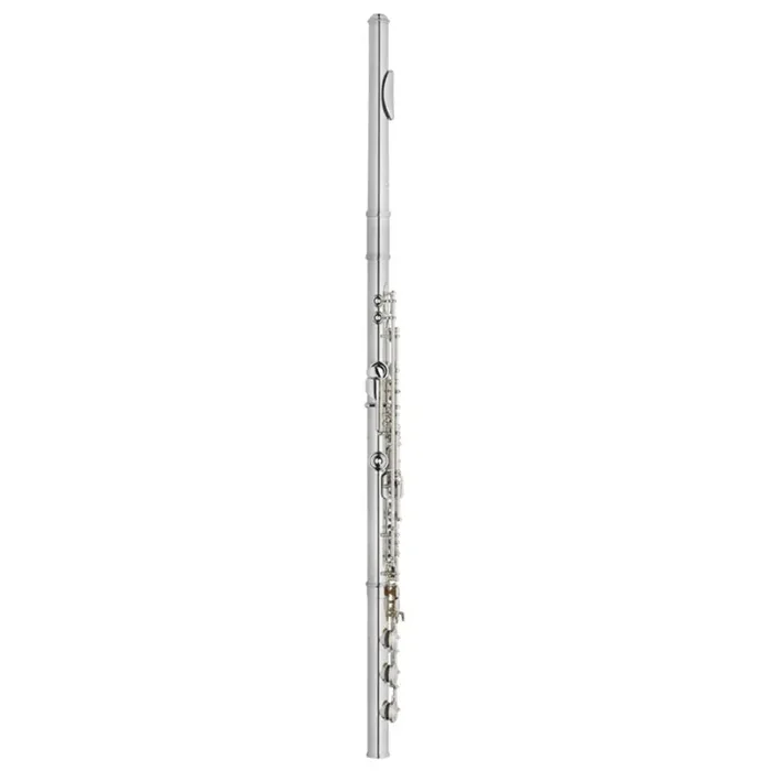 Amadeus 780 – Low B