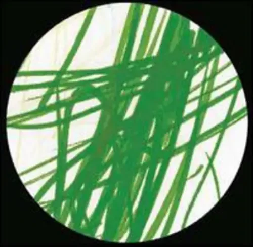 Anette Party Sandy Roche – 12-INCH SINGLE