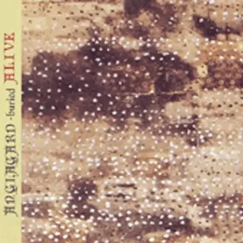 Änglagård Buried Alive – COMPACT DISCS