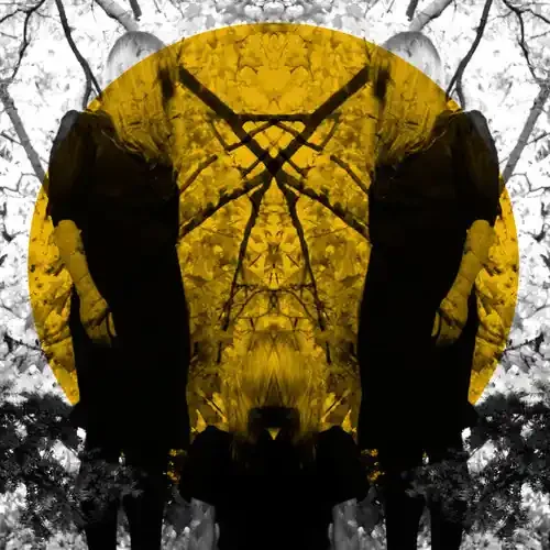 Austra Feel It Break – COMPACT DISCS