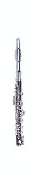 Avalon 6458E Student Model C Piccolo w/ Case