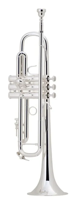 Bach Bb Professional Trumpet Model LR180S72