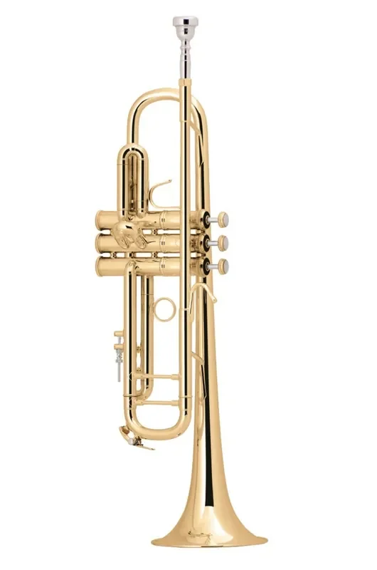 Bach Bb Professional Trumpet Model LT18072