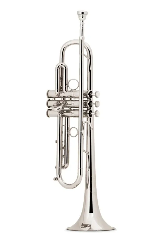 Bach Bb Professional Trumpet Model LT190S1B