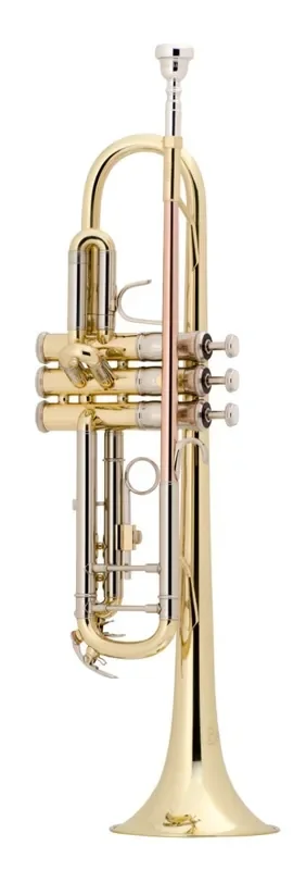 Bach Bb Student Trumpet Model TR500