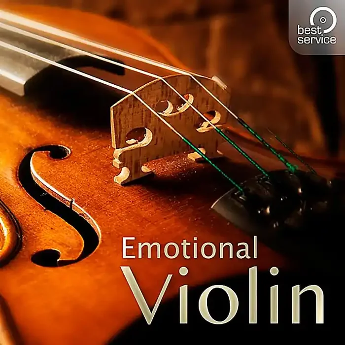 Best Service Emotional Violin Guitar Center