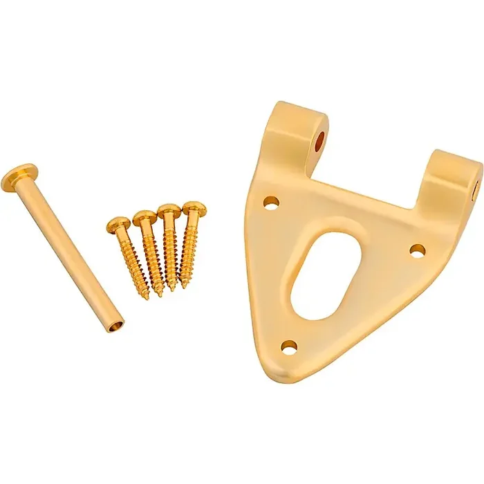 Bigsby B6 Conventional Hinge with Pin and Screws Gold Guitar Center