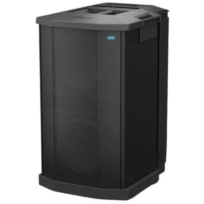 Bose 731444-1110 F1 Subwoofer