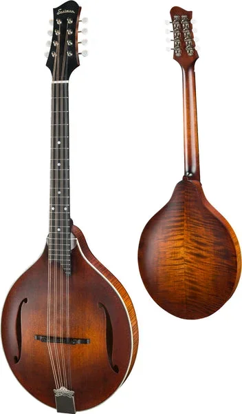Buy Eastman MDO305 Octave Mandolin | Ohio