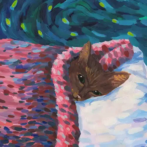 Cavetown Sleepyhead – COMPACT DISCS