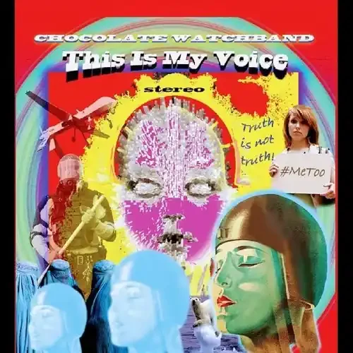 Chocolate Watch Band This Is My Voice