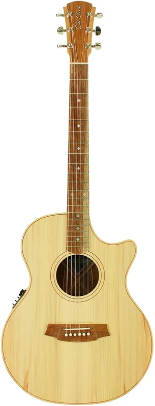 Cole Clark CCAN2EC-BB Acoustic Electric Guitar w/Case – Bunya/Blackwood