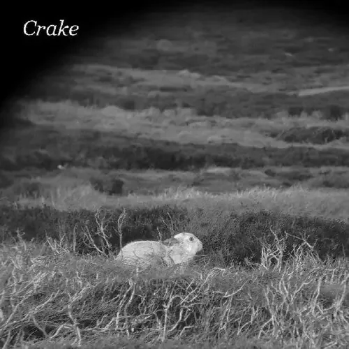 Crake Enough Salt (for All Dogs) / Gef – 7-INCH SINGLE