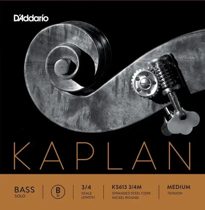 D‘Addario Kaplan Solo Double Bass B String, 3/4 Scale, Medium Tension
