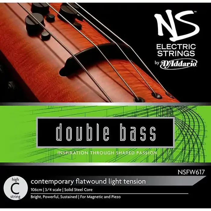 D‘Addario NS Electric Contemporary High C String Guitar Center