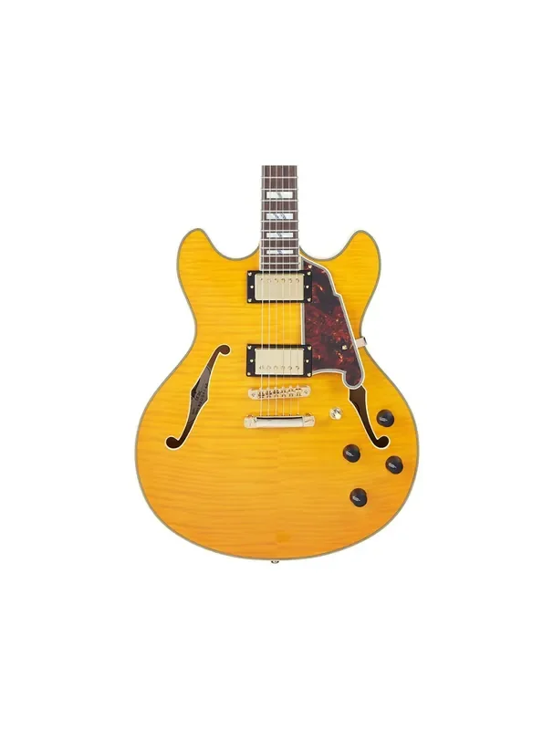 D‘Angelico Excel DC Semi-Hollow Guitar – Vintage Natural