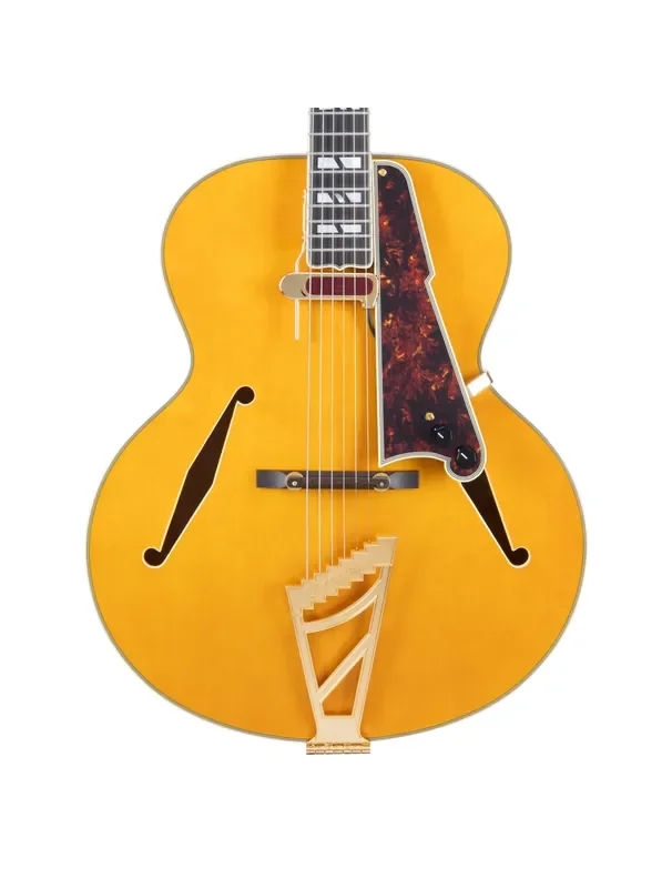 D‘Angelico Excel Style B Hollow Body Guitar – Amber