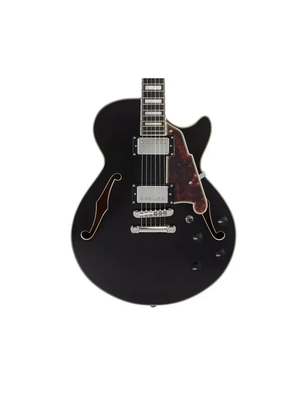 D‘Angelico Premier SS Semi-Hollow Electric Guitar – Black Flake