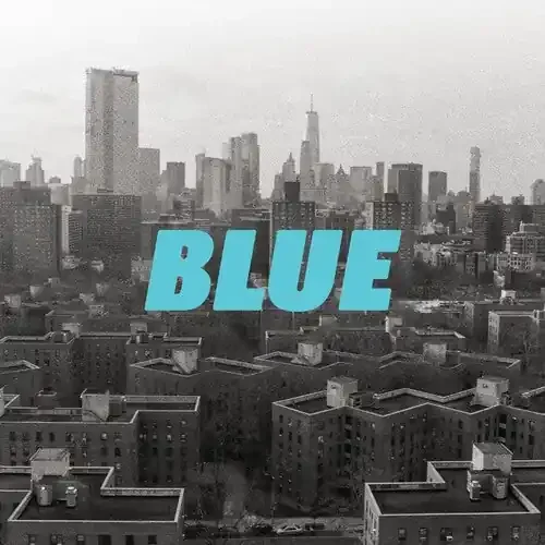 Dae Han BLUE – COMPACT DISCS