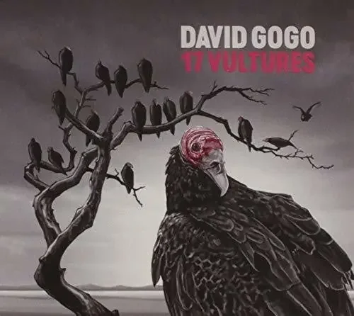 David Gogo 17 Vultures – COMPACT DISCS