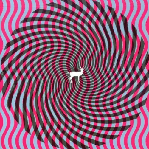Deerhunter Cryptograms – COMPACT DISCS