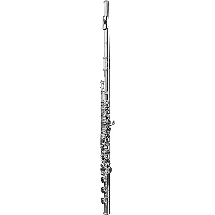 Di Zhao DZ801 Professional Flute, Open Hole, Pointed Arms, Silver Headjoint and Body Offset G B-Foot Guitar Center