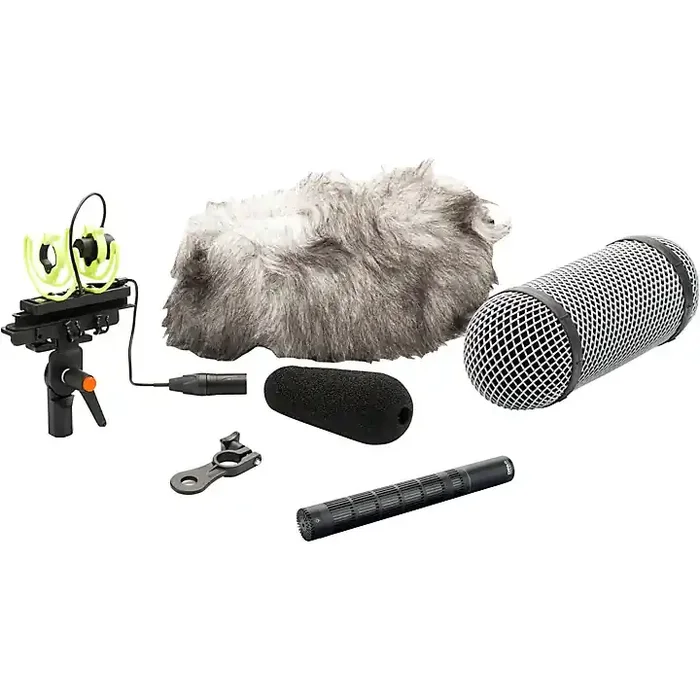 DPA Microphones d dicate 4017C Compact Shotgun Microphone with Ryocote Windshield Guitar Center