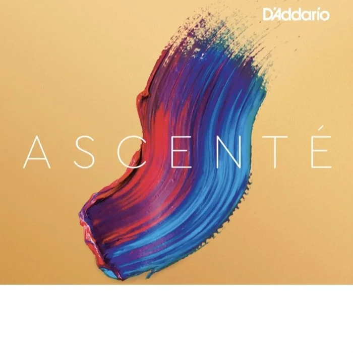 E String – 1/8 Size D’Addario Ascente Medium Tension Violin Strings (A311 1/8M)