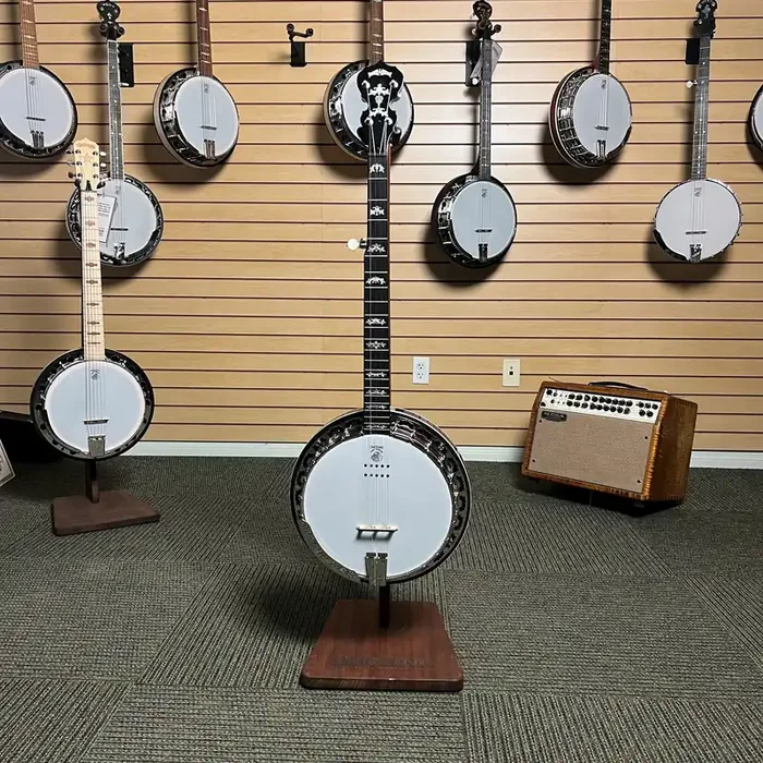Eagle II Acoustic Electric Showroom Banjo