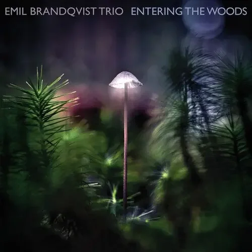 Emil Brandqvist Entering The Woods – COMPACT DISCS