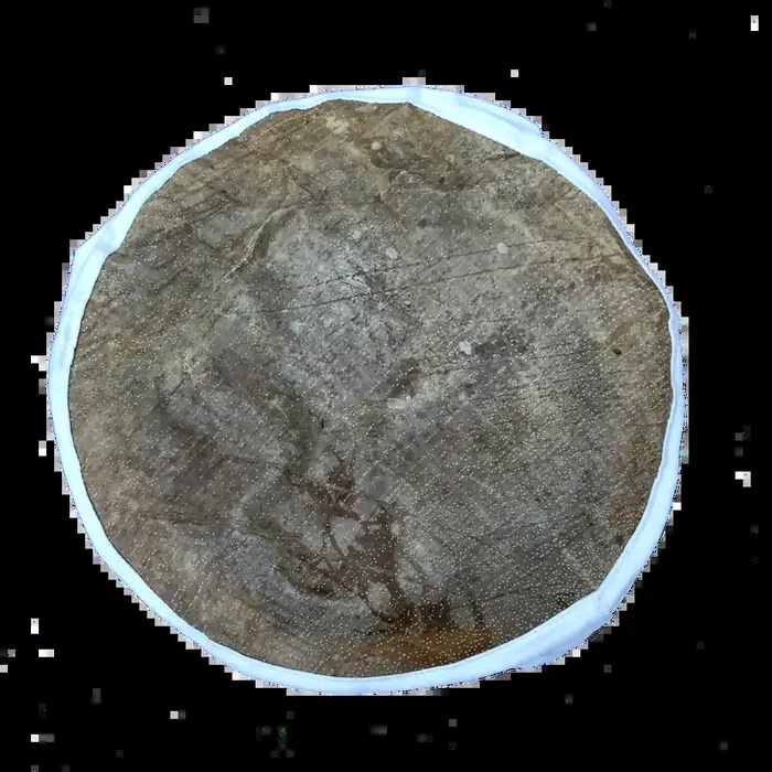 Fish Skin Drum Head, 10”