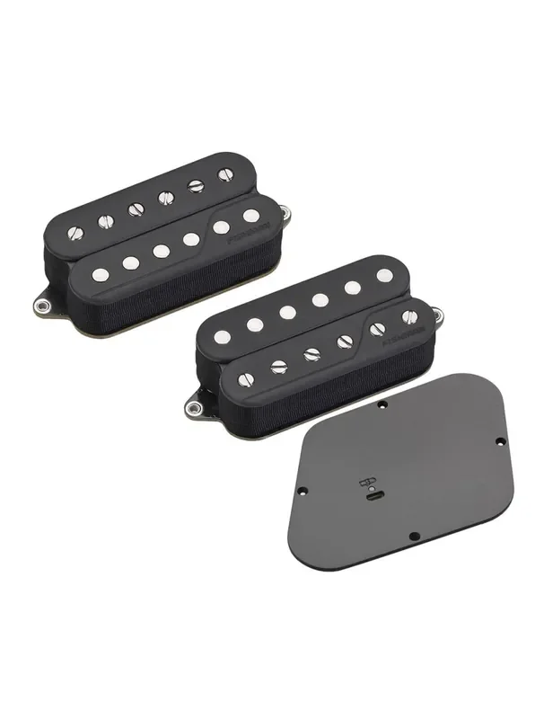 Fishman Fluence Custom Series Keith Merrow 6-String Set PRF-CS6-KM2 + Rechargeable Battery Pack