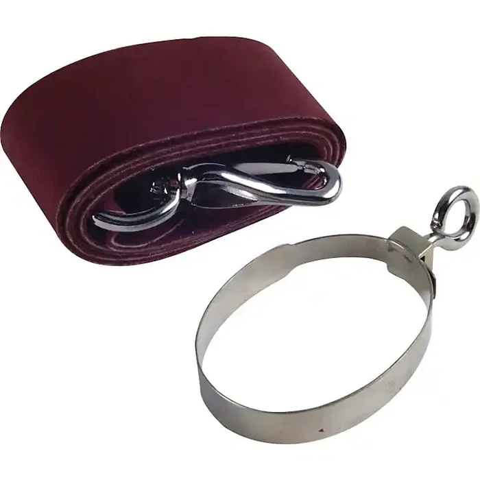 Fox Bassoon Straps Seat Strap with Ring Guitar Center