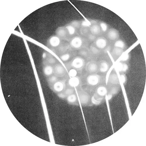 Function Recompiled Extractions – 12-INCH SINGLE