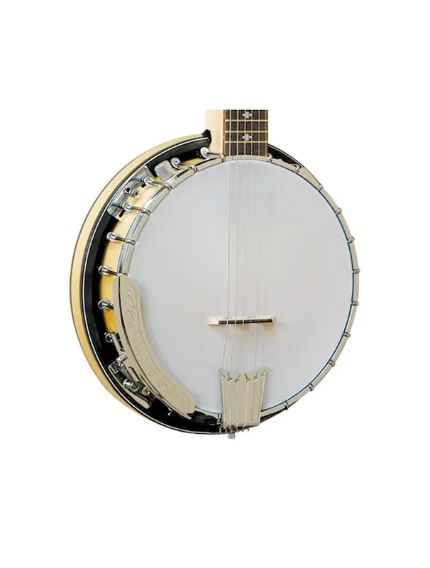 Gold Tone 6-String Banjitar