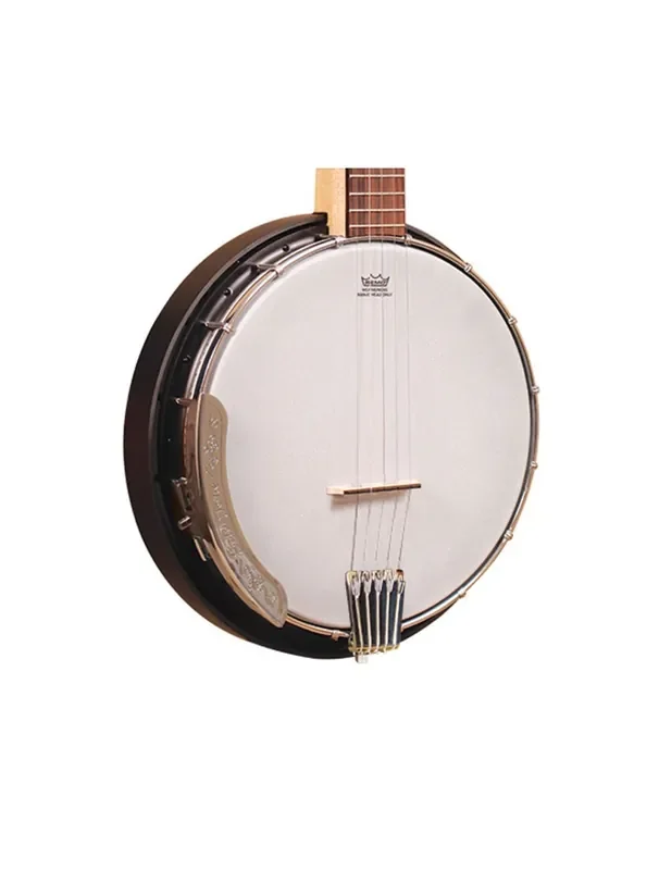 Gold Tone AC-5 Composite Bluegrass Banjo