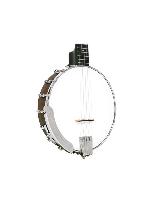 Gold Tone CC-50 Beginners Openback Banjo