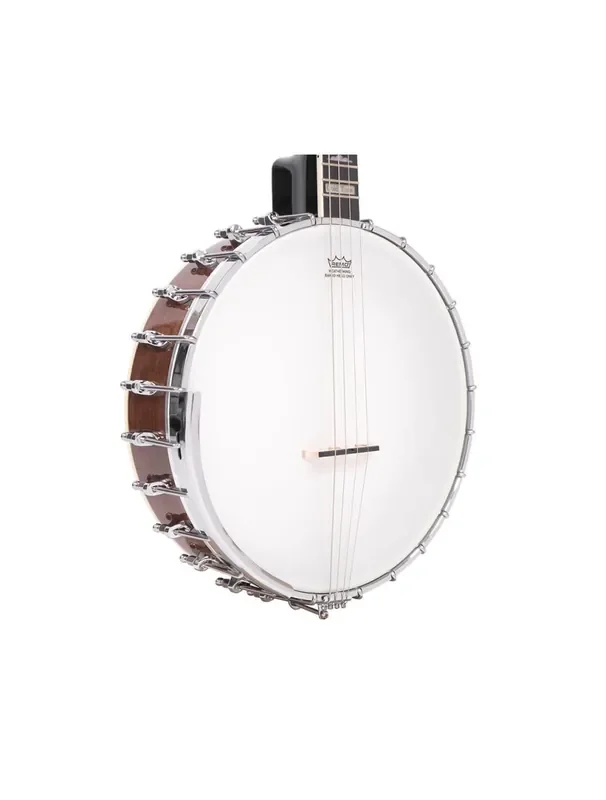 Gold Tone IT-250 Professional 4-String Irish Tenor Openback Banjo – Open Box