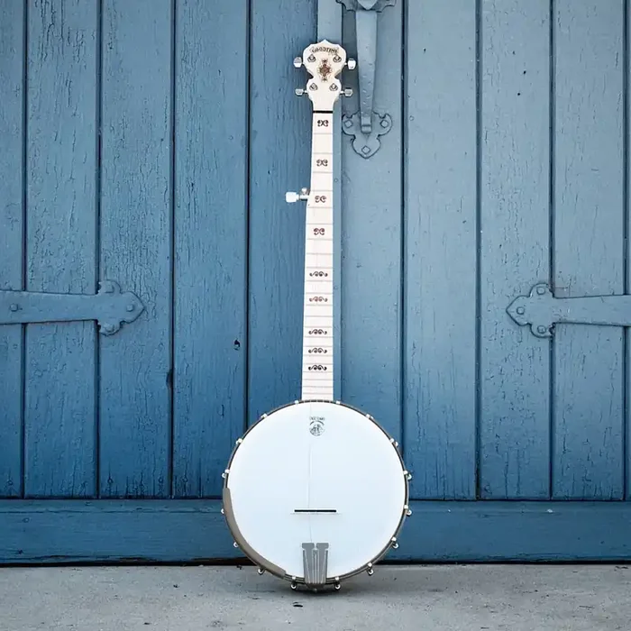 Goodtime 5-String Banjo Limited Edition Bronze