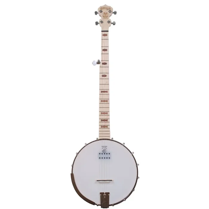 Goodtime Acoustic/Electric 5-String Banjo